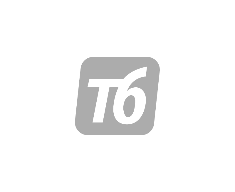 t6