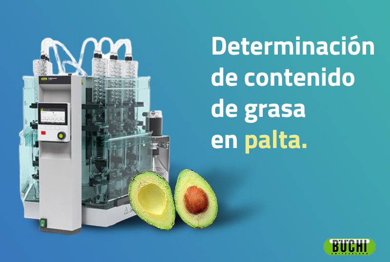 Determinación de contenido graso en aguacate