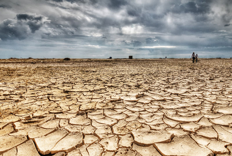 SEGURIDAD ALIMENTARIA EN UN MUNDO CON CRECIENTE ESCASEZ DE RECURSOS NATURALES